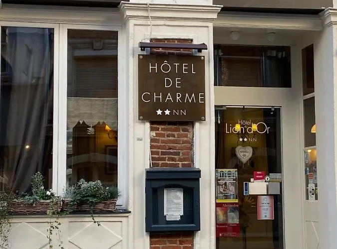 Hôtel Le Lion D'or 2*