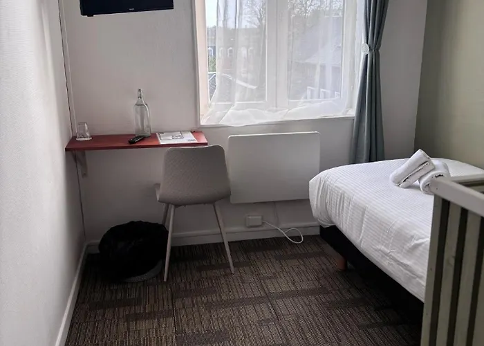 Hotel Hôtel Le Lion D'or