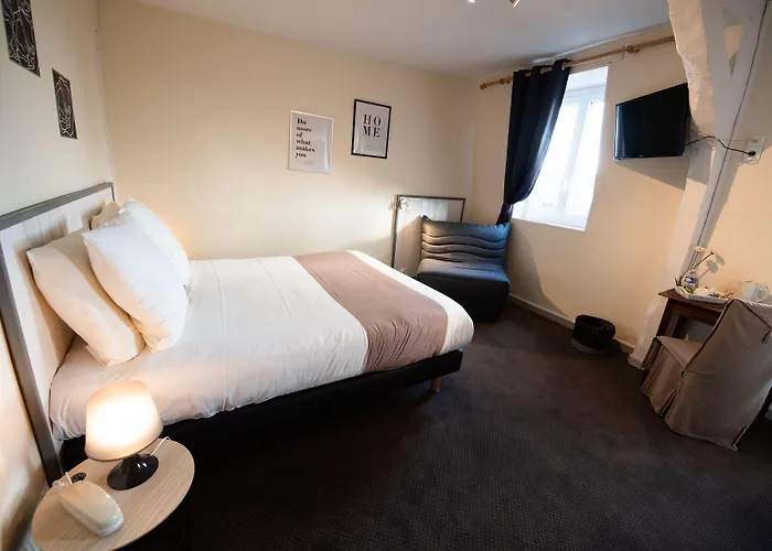 Hotel Hôtel Le Lion D'or